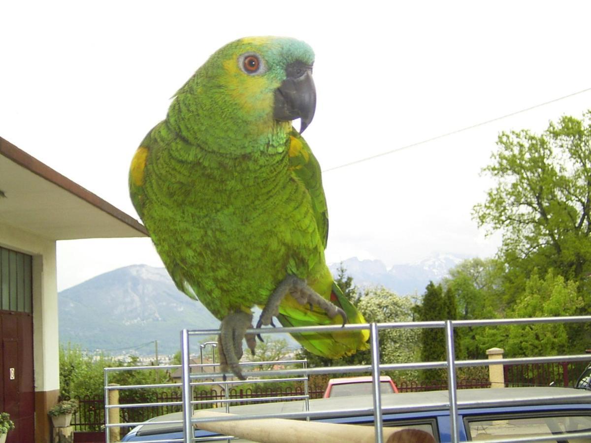 Le Paon Bleu Annecy Poisy Bed and Breakfast Exterior foto